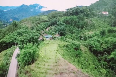 Chuyện hạt lúa biết nghe lời (Sản phẩm Trà gạo lúa rẫy rang gừng)